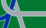 Albany City Flag