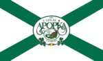 Apopka City Flag