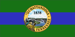 Chattanooga City Flag