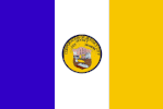 JerseyCity City Flag