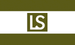 LeesSummit City Flag