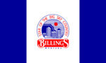 Billings City Flag