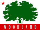 Woodland City Flag